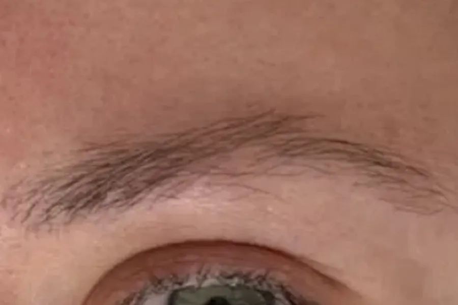 Ombré brows – before